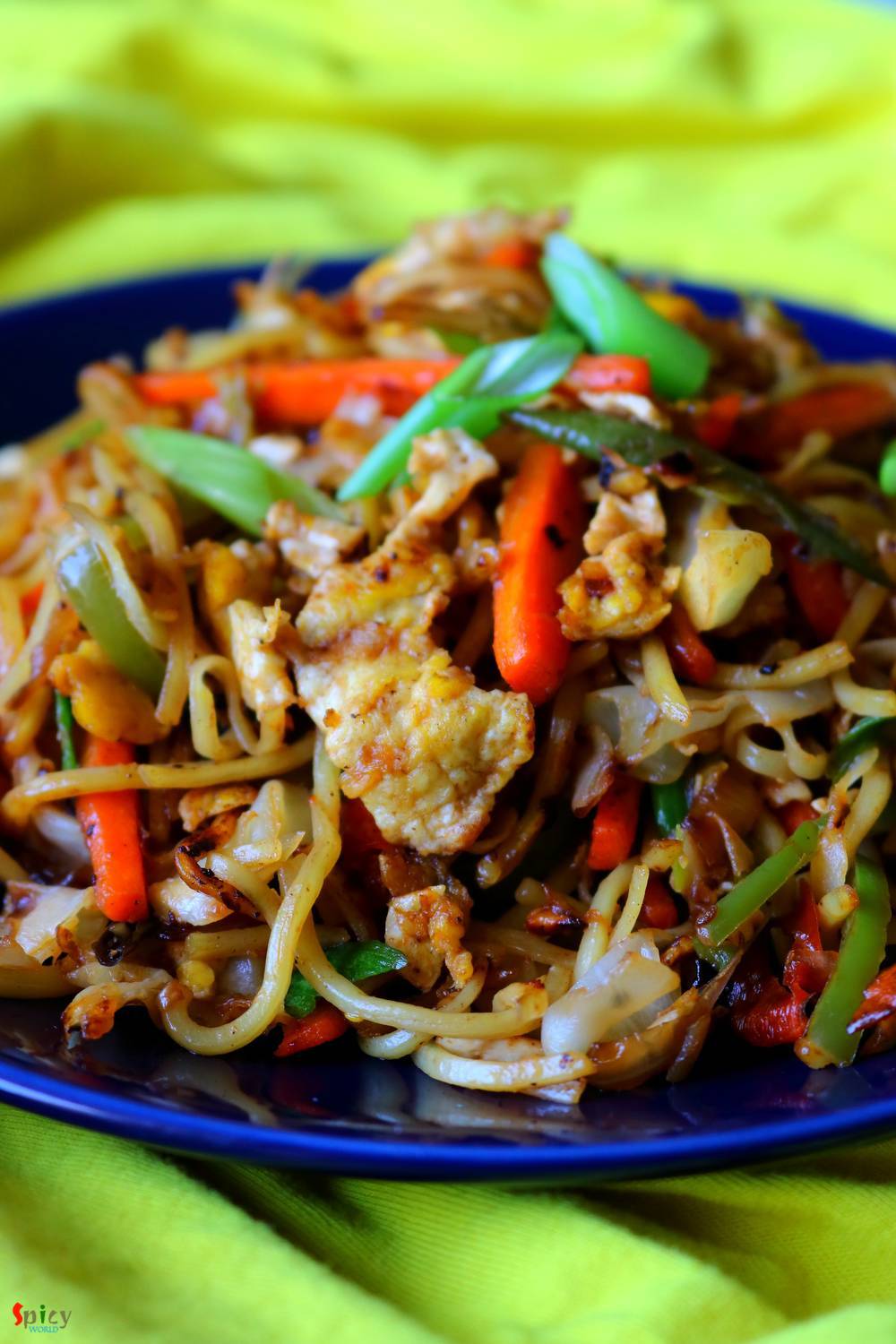 chicken-chow-mein-with-best-chow-mein-sauce-chicken-chow-mein-chow