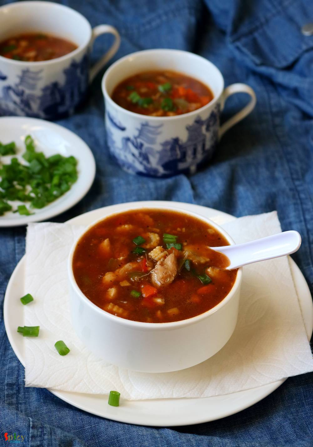 Chicken Hot and Sour Soup - Spicy World Simple and Easy Recipes by Arpita